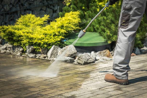 Best Roof Washing  in Frederick, CO